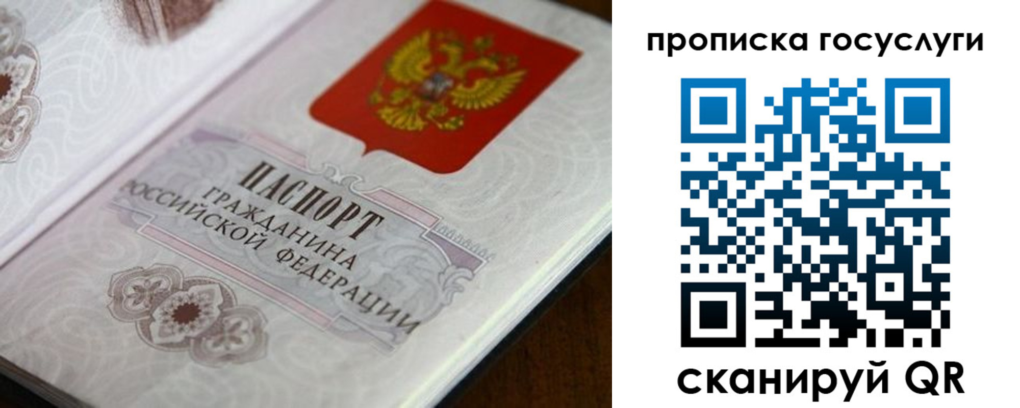 прописка в квартире в Калининграде